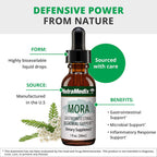 NutraMedix Mora Yarrow Extract - Extracto de Milenrama, Hojas de Mora y Corteza de Capirona (30 ml)
