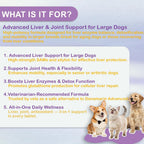 Same for Dogs – Suplemento Hepático Avanzado con Milk Thistle