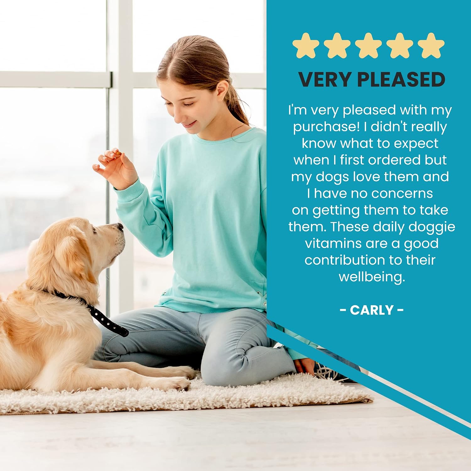 Wanderfound Pets 10-en-1 Multivitamínico para Perros con Glucosamina, D3 y MSM, Sabor Hígado, 60 Comprimidos