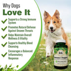 Silver Lining Herbs – Suplemento Inmunológico para Perros (90 Cápsulas)