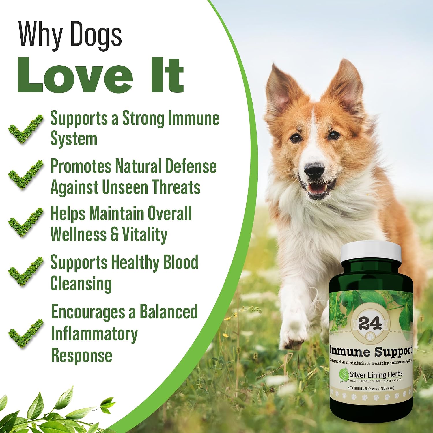 Silver Lining Herbs – Suplemento Inmunológico para Perros (90 Cápsulas)