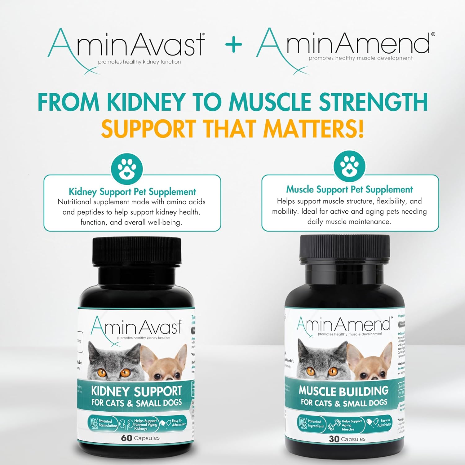 AminAmend Suplemento Muscular para Perros y Gatos Pequeños con CaHMB y Vitamina D3 - 30 Cápsulas