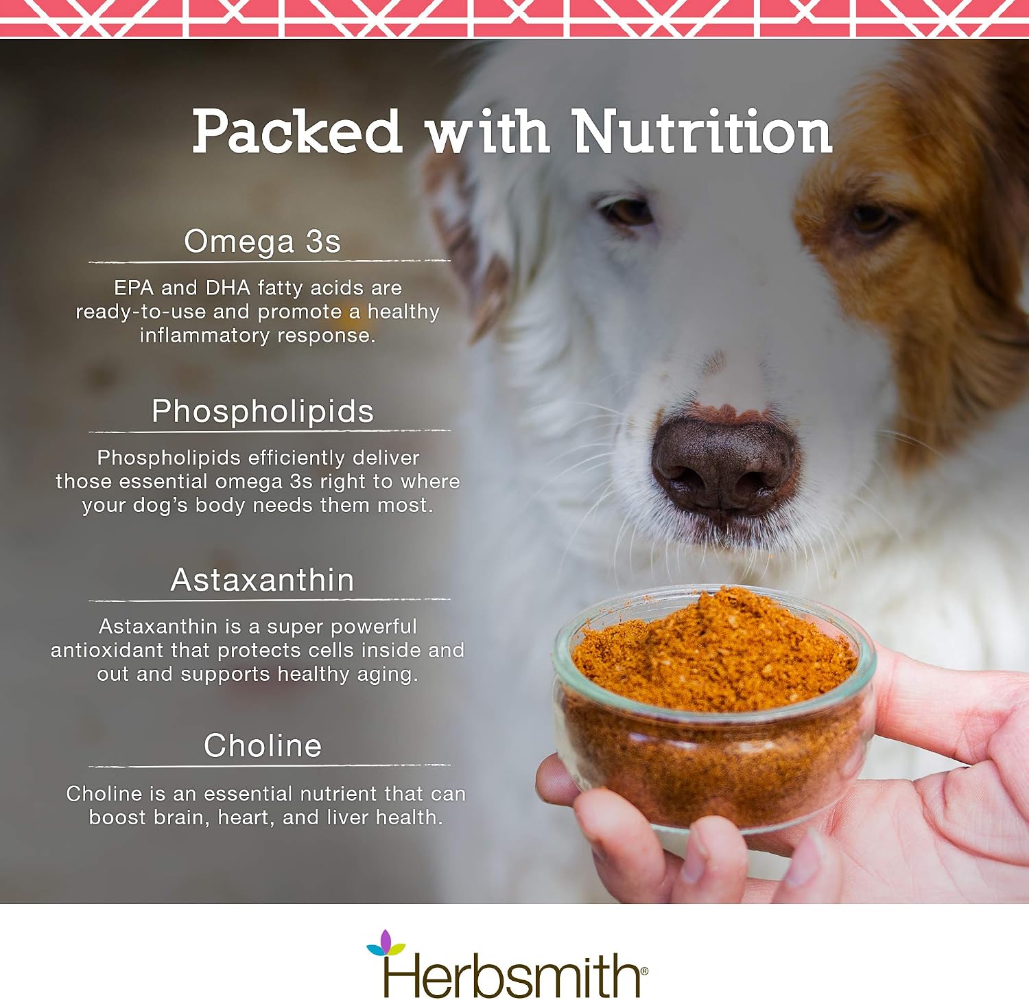 Herbsmith Pure Krill - Krill Antártico de un Solo Ingrediente para Perros - 150g