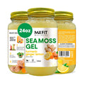 MAX FIT Gel de Musgo de Mar con Cúrcuma, Jengibre y Limón (24 oz) - Silvestre de Santa Lucía | 92 Vitaminas y Minerales | Puro y No-GMO