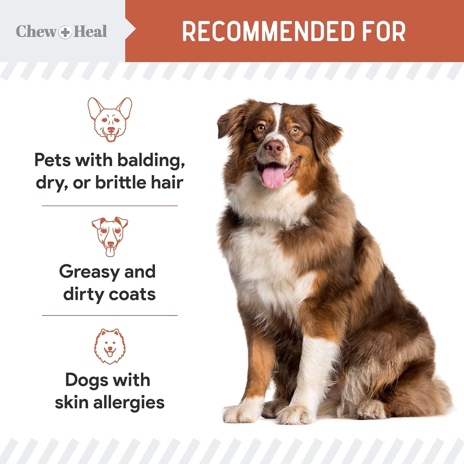 Chew + Heal Labs Aceite de Pescado Omega 3 para Perros - 360 Golosinas Blandas de Salmón