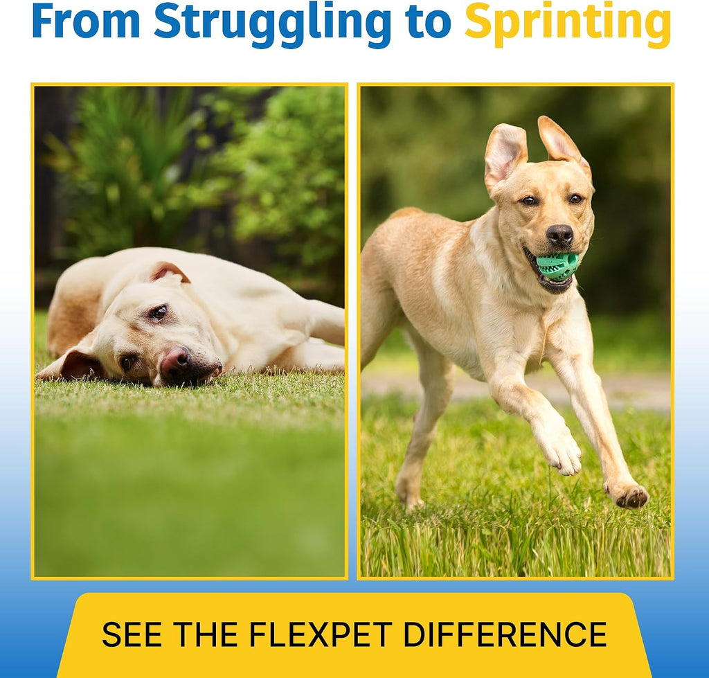 FlexPet Hip & Joint Supplement - 180 Comprimidos Sabor Hígado de Cerdo