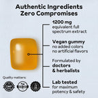 Reprise Jujube Seeds in Daily Gummies, 300 mg Full-Spectrum Jujube Seeds, Vegan, Gelatin Free, Peach Flavored, 40 Gummies