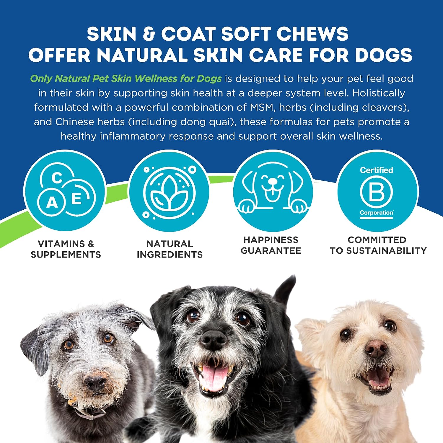 Only Natural Pet Skin Wellness Soft Chew 60 unidades