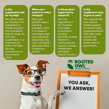 Rooted Owl® Cardio Support para Perros - – Apoyo cardíaco: Ayuda a mantener la fuerza y eficiencia del músculo – Image 8