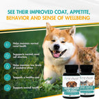 AminAvast Kidney Supplement for Dogs - Supports Natural Kidney Function - 1000mg, 60 Capsules