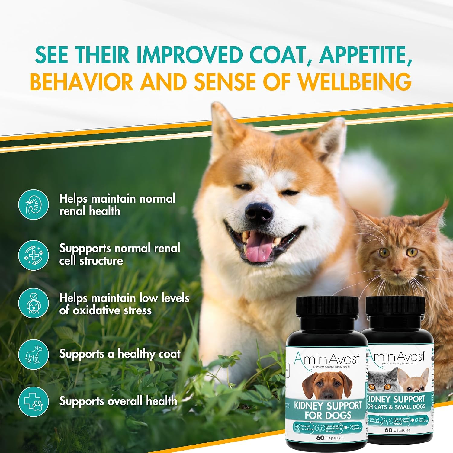 AminAvast Kidney Supplement for Dogs - Supports Natural Kidney Function - 1000mg, 60 Capsules