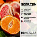 Nootropics Depot Nobiletin Cápsulas | 250mg | 30 Cápsulas | Extracto 20% | Citrus aurantium