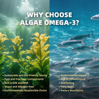 Vitamina D3 5000 UI (125 mcg) + Vitamina K2 (MK-7) Gominolas con Omega 3 de Algas | Máxima Potencia | Vegano, Sin Azúcar