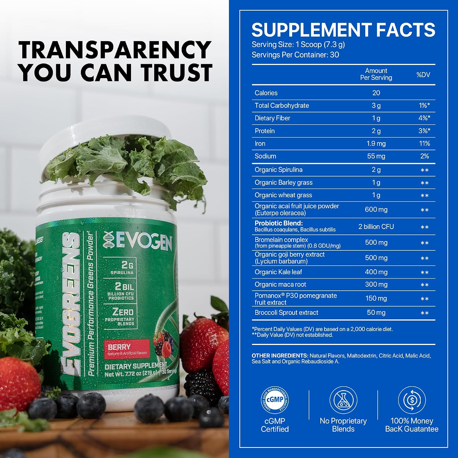 Evogen Evogreens Super Greens Powder Berry - 30 Raciones