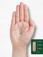 Carlyle Cáscara de Catuaba 470 mg, 120 Cápsulas