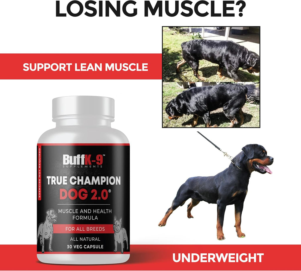 True Champ 2.0 Suplemento para el desarrollo muscular en perros, Cápsulas de apoyo al bienestar canino para todas las razas (30 Cápsulas vegetales)