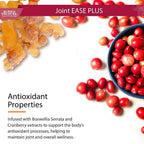 Buried Treasure Joint Ease Plus - 473 ml, Glucosamine and Chondroitin with MSM and Turmeric, Joint Supplement