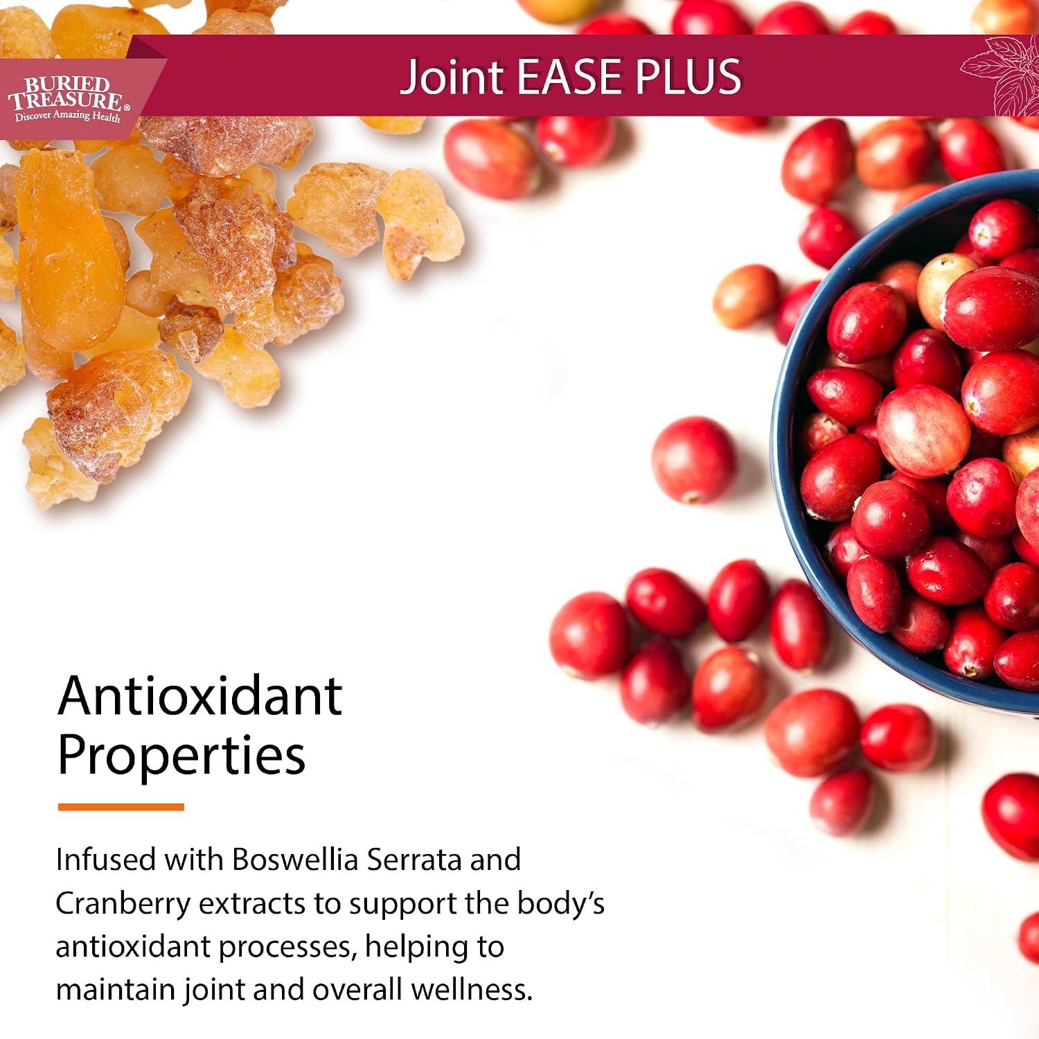 Buried Treasure Joint Ease Plus - 473 ml, Glucosamine and Chondroitin with MSM and Turmeric, Joint Supplement