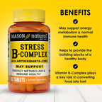 MASON NATURAL Stress B Complex con Antioxidantes y Zinc, Suministro para 6 Meses, Fórmula de Acción Dual, Apoya el Metabolismo Energético y la Salud Inmunológica, 3 Paquetes