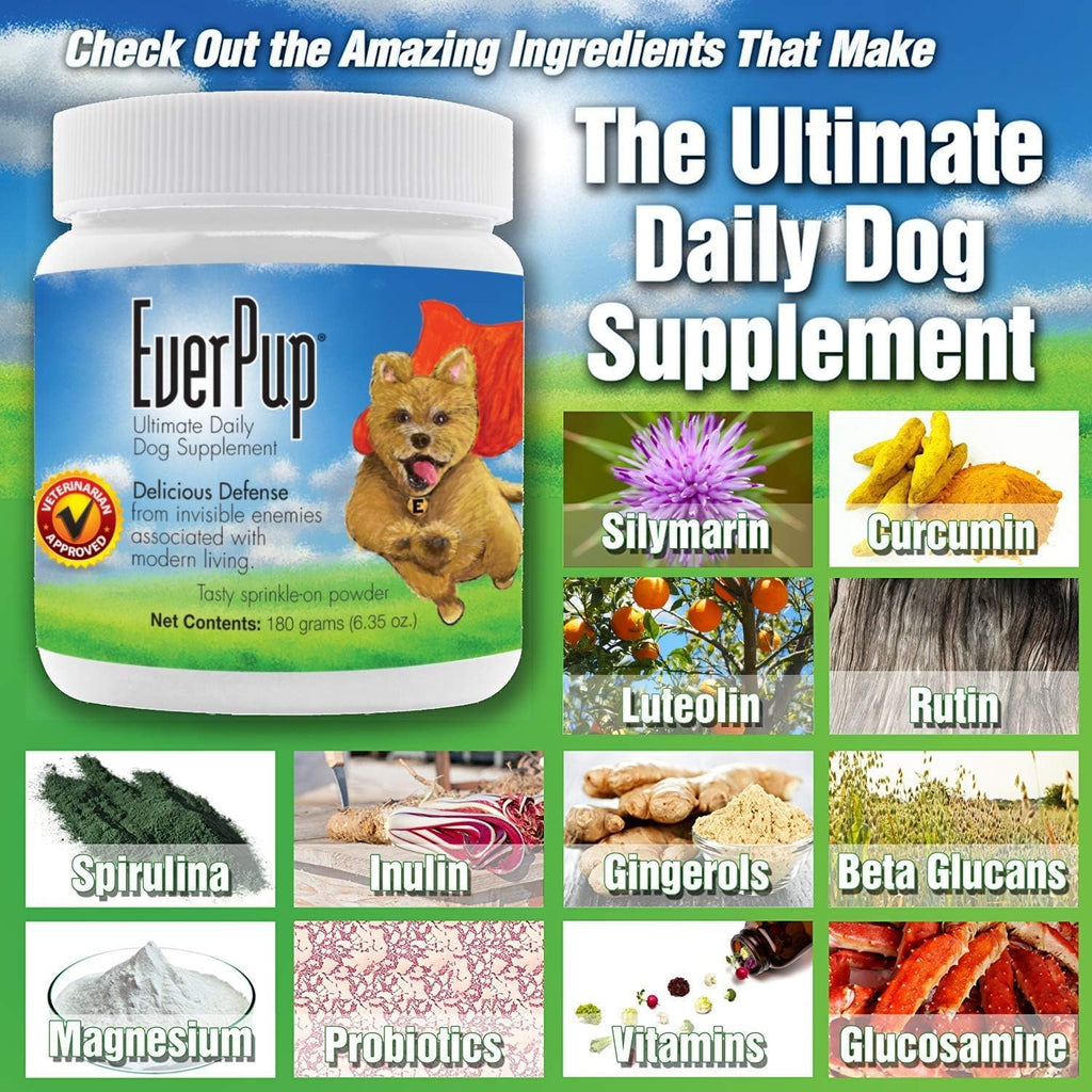 Complemento para perros, 720 g – Multivitamínico completo con glucosamina, probióticos y antioxidantes para articulaciones, sistema inmunitario y digestivo para todas las edades