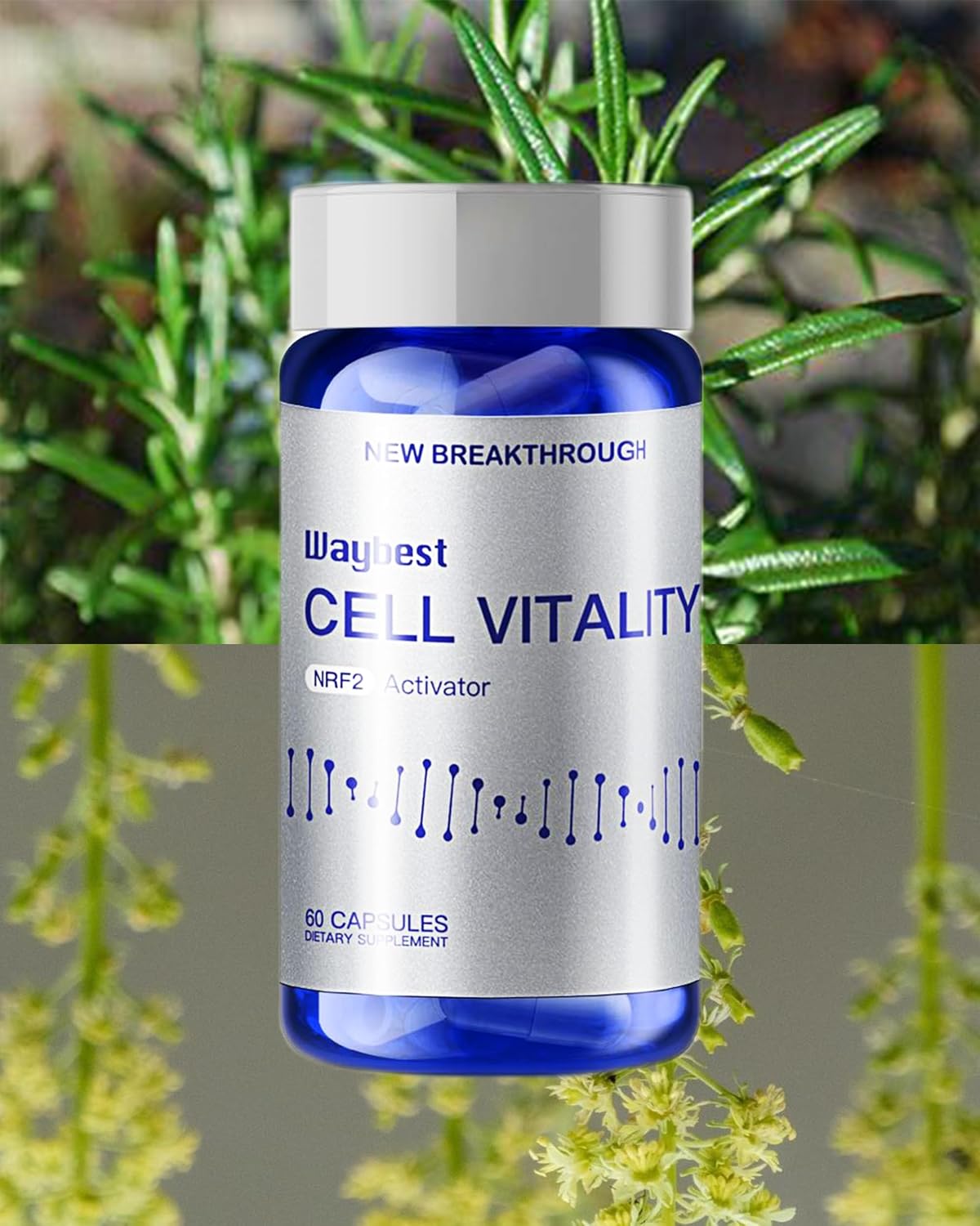 Oxidative Stress Relief Formula - NRF2 Activator (180 Cápsulas Veganas) by Waybest