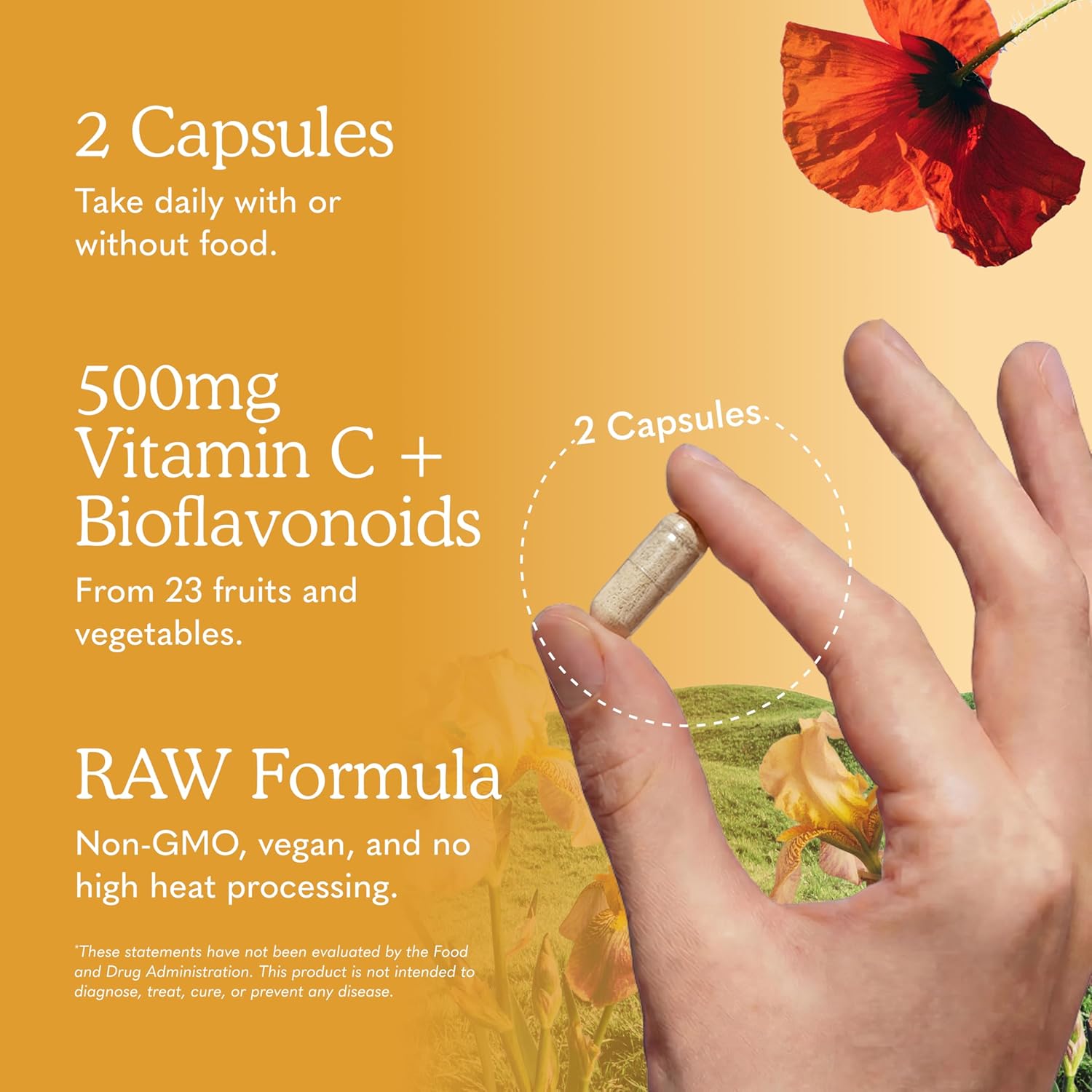 Garden of Life Vitamin Code Raw Vitamin C - 120 Cápsulas, 500mg de Vitamina C de Alimentos Integrales con Mezcla de Frutas y Verduras y Probióticos