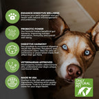 Only Natural Pet Probiótico para Perros y Gatos - 90 Cápsulas