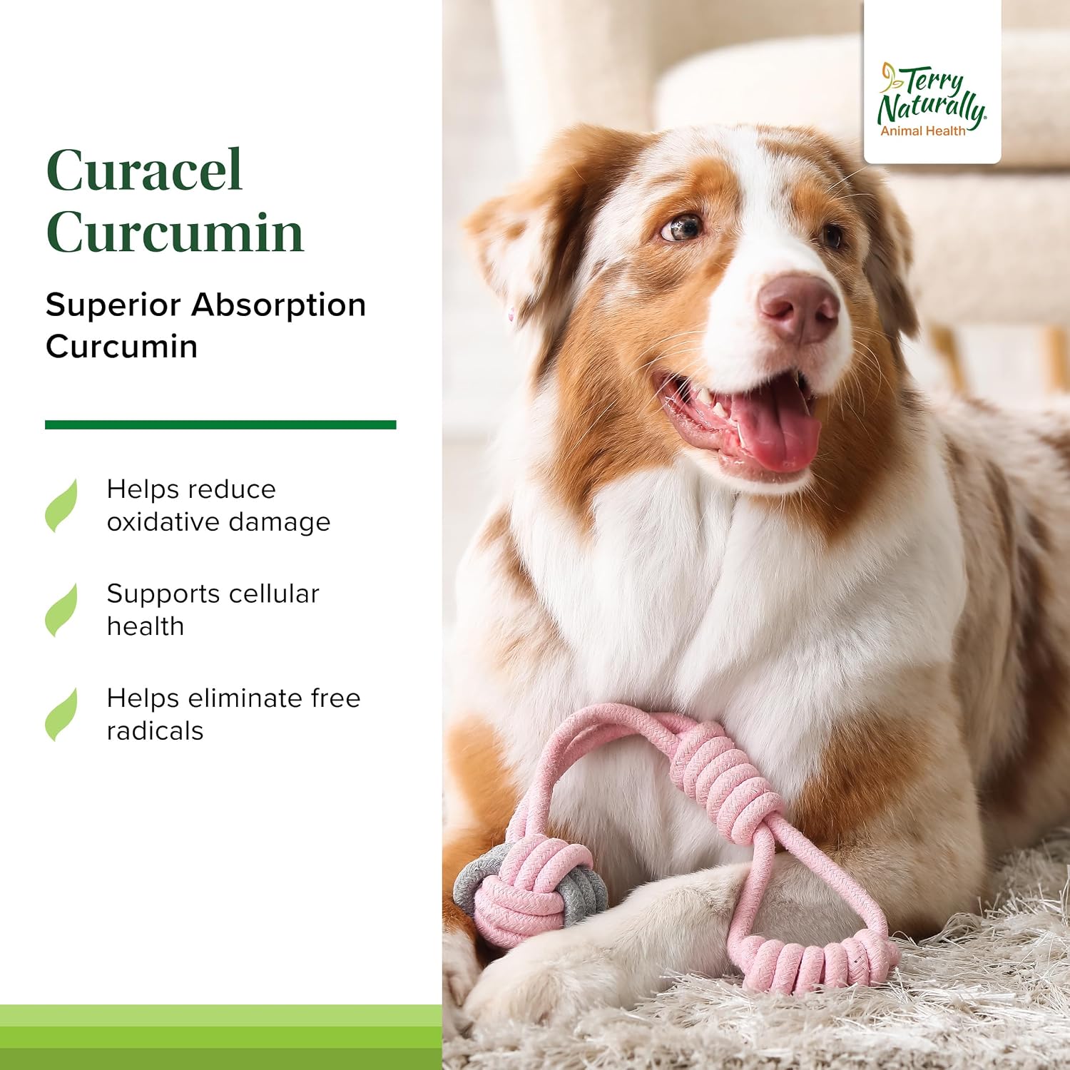 Terry Naturally Curacel Curcumin - Suplemento Antioxidante para Perros - 60 Cápsulas Blandas