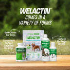 Nutramax Welactin Omega 3 para Perros - 120 Cápsulas blandas