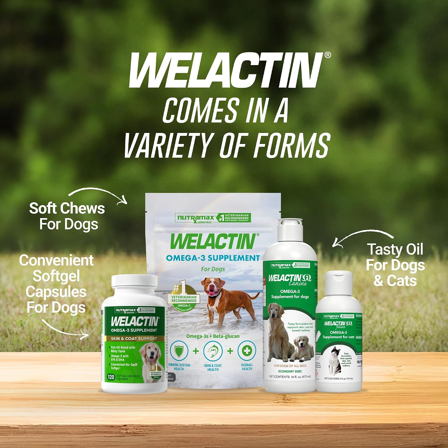 Nutramax Welactin Omega 3 para Perros - 120 Cápsulas blandas