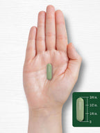 Carlyle Moringa Oleifera - 180 Cápsulas - Superalimento Verde