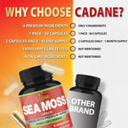 Organic Cadane Irish Sea Moss Extract Cápsulas - 90 cápsulas