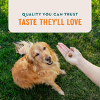 VetIQ Suplemento para Piel y Pelaje para Perros, Masticables con Omega 3,6,9 Sabor a Humo de Nogal, 60 unidades