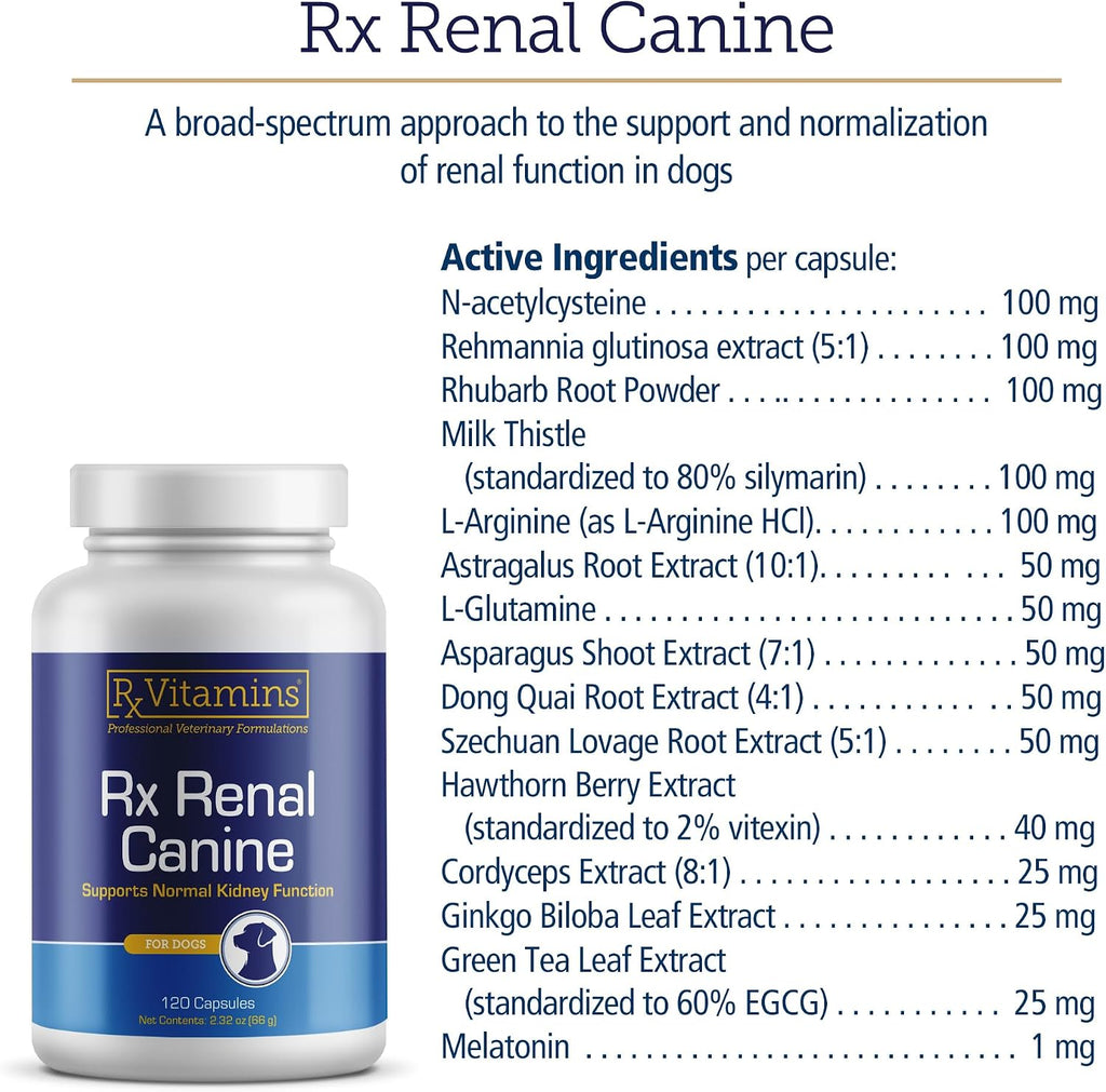 Rx Vitamins Rx Renal - Cápsulas de apoyo renal para perros con cardo mariano, té verde y cordyceps, 120 unidades