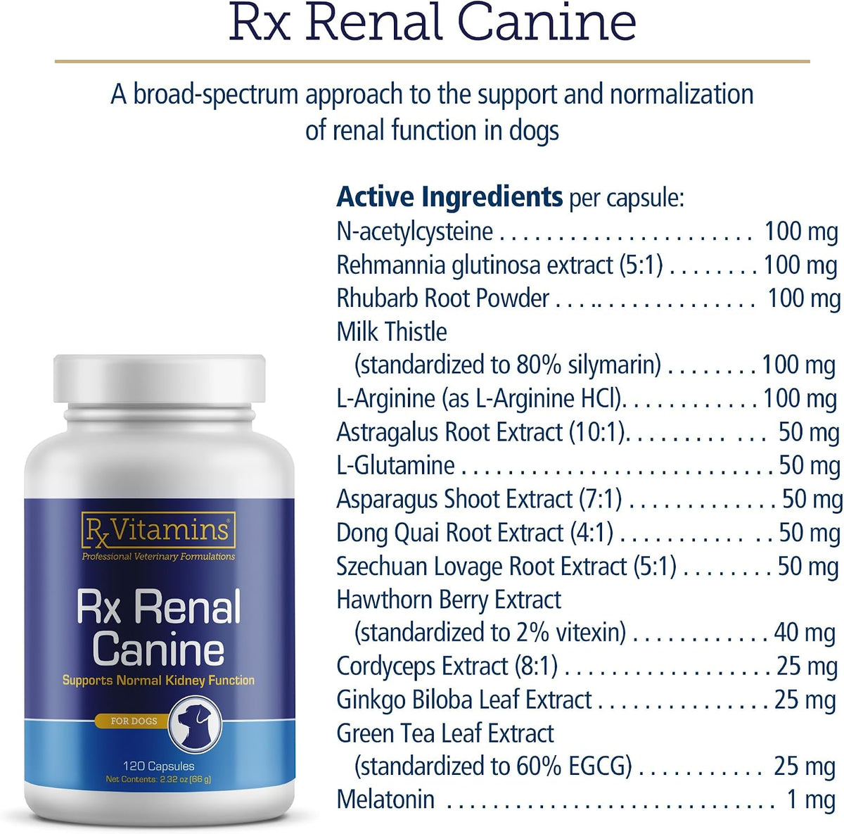 Rx Vitamins Rx Renal - Cápsulas de apoyo renal para perros con cardo mariano, té verde y cordyceps, 120 unidades – Image 6