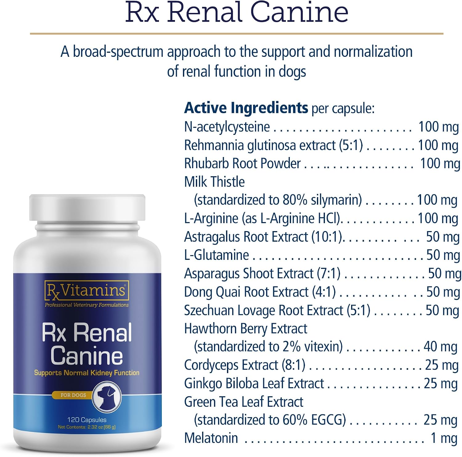 Rx Vitamins Rx Renal - Cápsulas de apoyo renal para perros con cardo mariano, té verde y cordyceps, 120 unidades