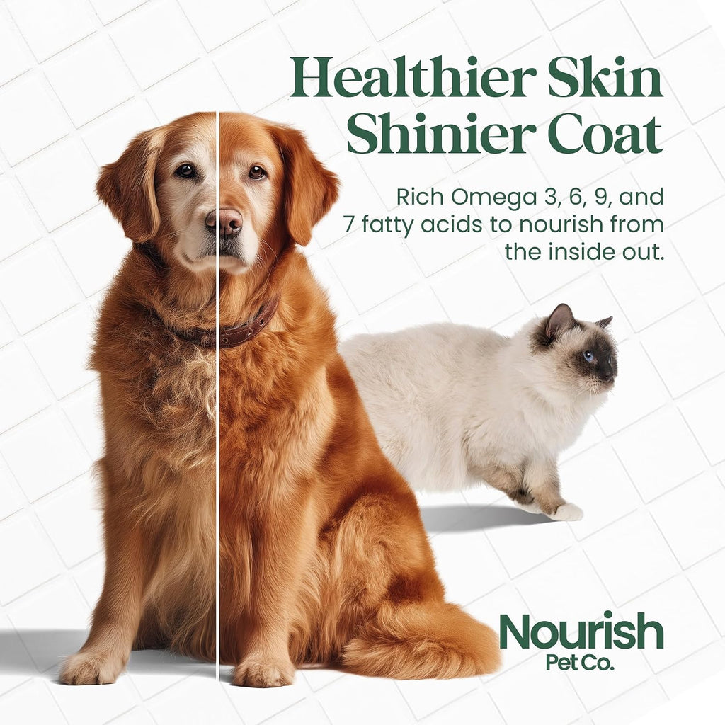 Nourish Pet Co. Fitoplancton Omega y Multivitamínico para Perros y Gatos – Suplemento de Omega-3 de Fitoplancton – Fórmula de Bienestar para Piel, Pelaje, Articulaciones, Equilibrio Inmune y Vitalidad 80g