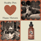 Complete Natural Products Concentrado Orgánico para Riñón y Vejiga para Mascotas - 118ml