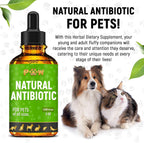 Golden Paw Antibióticos Naturales para Perros y Gatos – Gotas Orales – 2 oz (59 ml)
