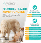 AminAvast Kidney Support Supplement for Dogs - 1000mg, 60 Sprinkle Capsules (2-Pack)