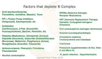 Script Essentials Suzy Cohen, Mito B Complex - Suplemento de Complejo B con 5-MTHF y Adeno B12, 60 Cápsulas