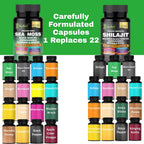 AyBet Sea Moss y Shilajit del Himalaya – Fórmula Herbal 22 en 1 con Ashwagandha, Cúrcuma, Jengibre – Minerales y Antioxidantes – Cápsulas Orgánicas, Halal, Veganas – 120 Unidades