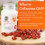 Dr. Harvey's Coenzyme Q10 - Suplemento de Apoyo Cardíaco y Cardiovascular para Perros, 60 Cápsulas