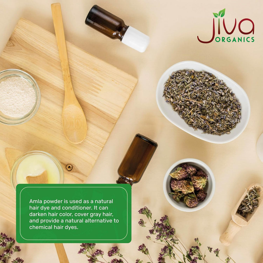 Polvo de Amla Orgánico 567 g - Puro, Libre de Gluten, No GMO, Amalaki de India, Vitamina C - Jiva Organics
