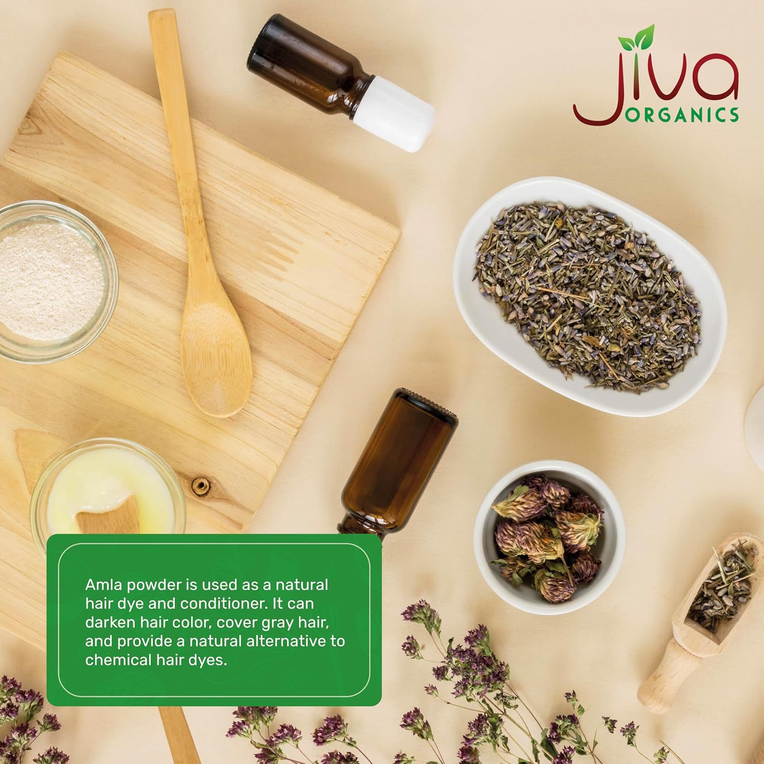 Polvo de Amla Orgánico 567 g - Puro, Libre de Gluten, No GMO, Amalaki de India, Vitamina C - Jiva Organics