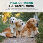 Mr Ros Multivitamínico prenatal masticable para perros - 120 comprimidos blandos