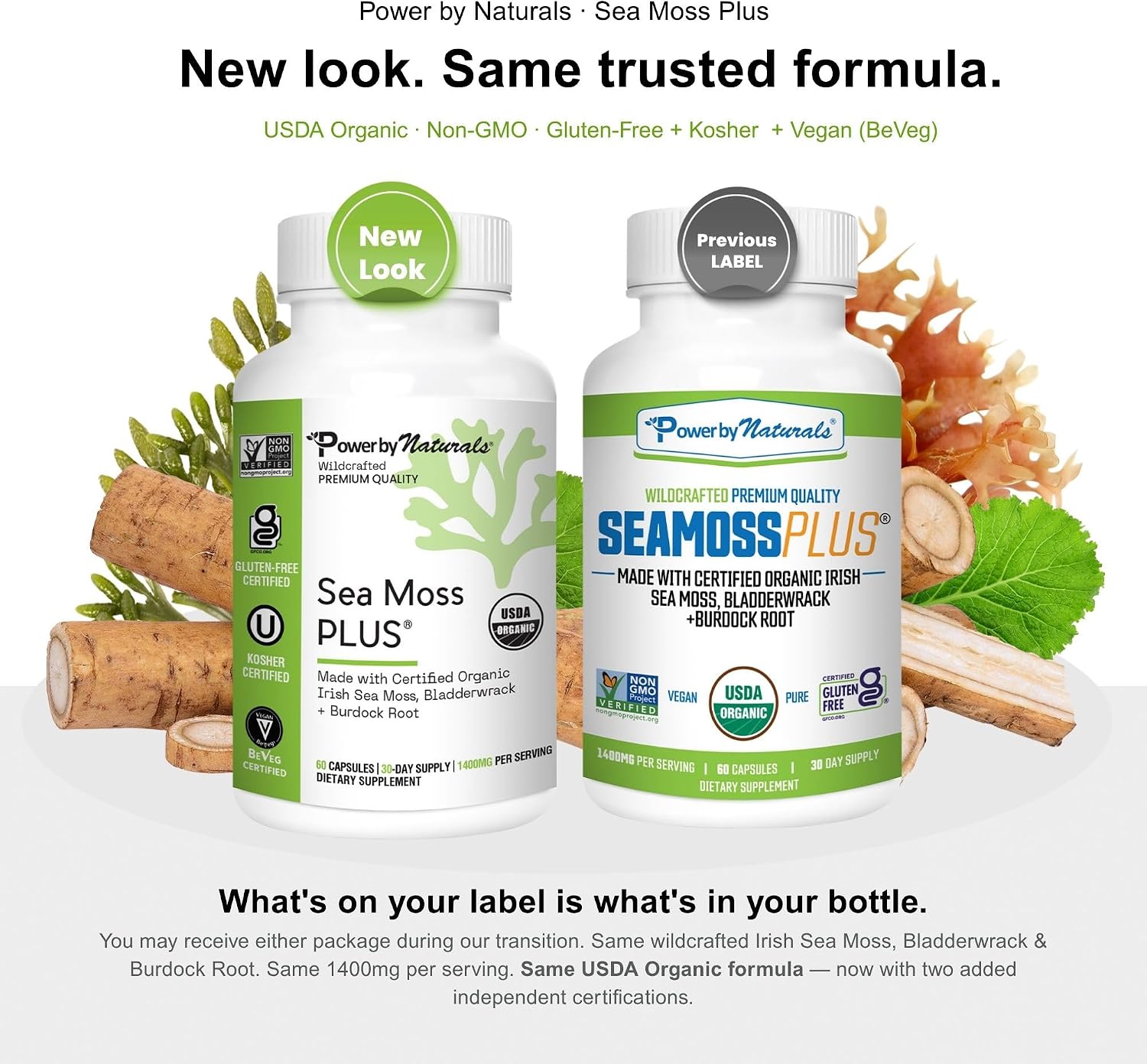 Power By Naturals Sea Moss Plus – Cápsulas Orgánicas de Musgo de Mar Irlandés con Bladderwrack y Raíz de Bardana – 120 Cápsulas (Suministro para 2 Meses)