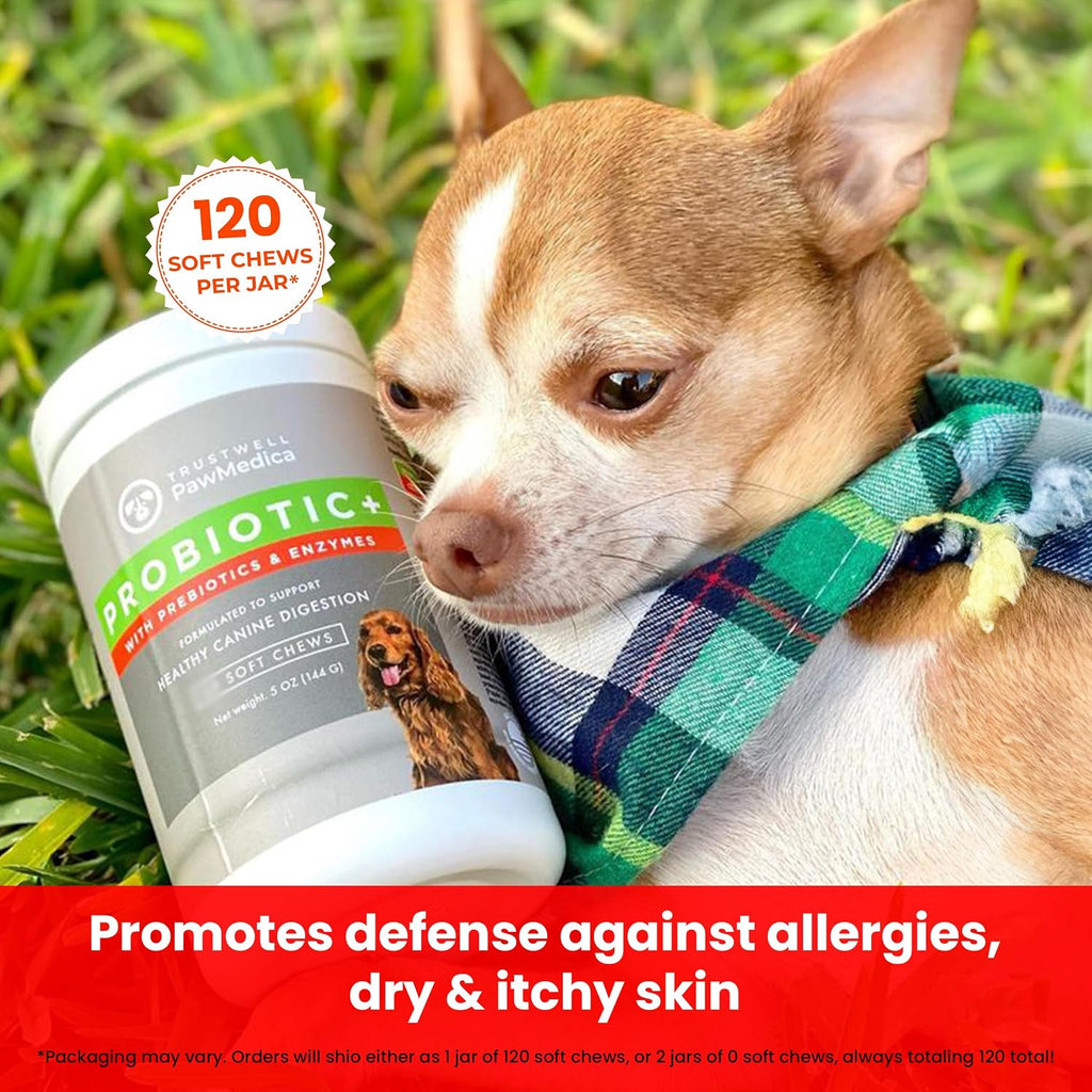 PawMedica Probióticos y Enzimas Digestivas para Perros - 120 Comprimibles Masticables