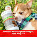 PawMedica Probióticos y Enzimas Digestivas para Perros - 120 Comprimibles Masticables