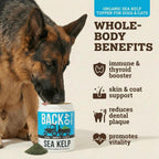Organic Kelp Powder for Dogs - Alga Kelp Orgánica en Polvo para Perros y Gatos